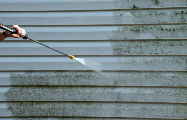 Best Attic Mold Removal  in Champion Heights, OH