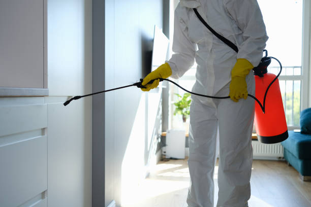 Best Same-Day Mold Removal  in Champion Heights, OH